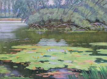 ��������. � ������ �.�.���������� (������ ���). ����� ������