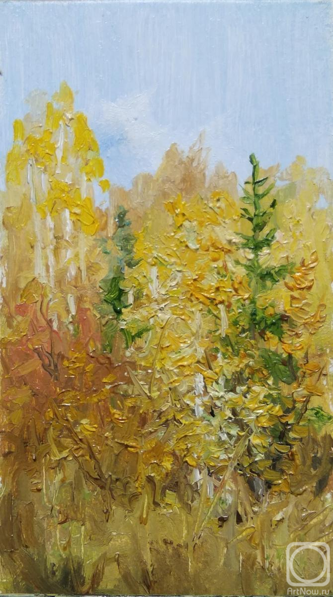 �������. ������� ������. �� ���������� � ��������