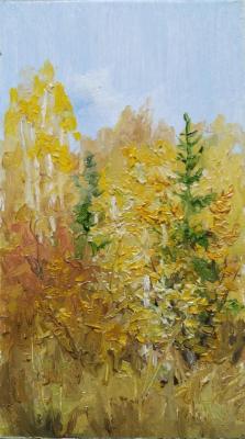 ������� ��� ���������� � ��������