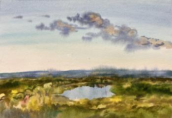 ������� ��������. ������