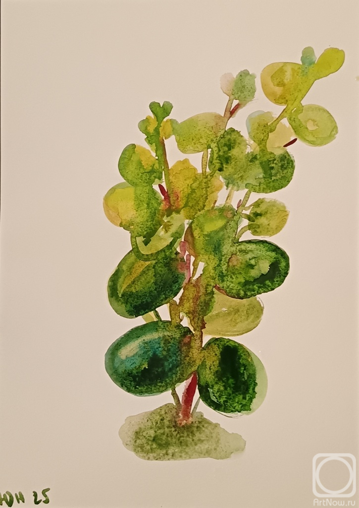 �������. ������ ����. ���������