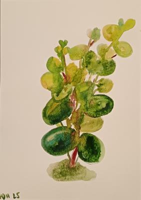 ���������