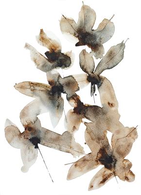 Coffee Blossoms Abstract Brown Daisies in Minimalist Style Botanical Art Print (Floral Pattern Art). Solovyanova Tatyana