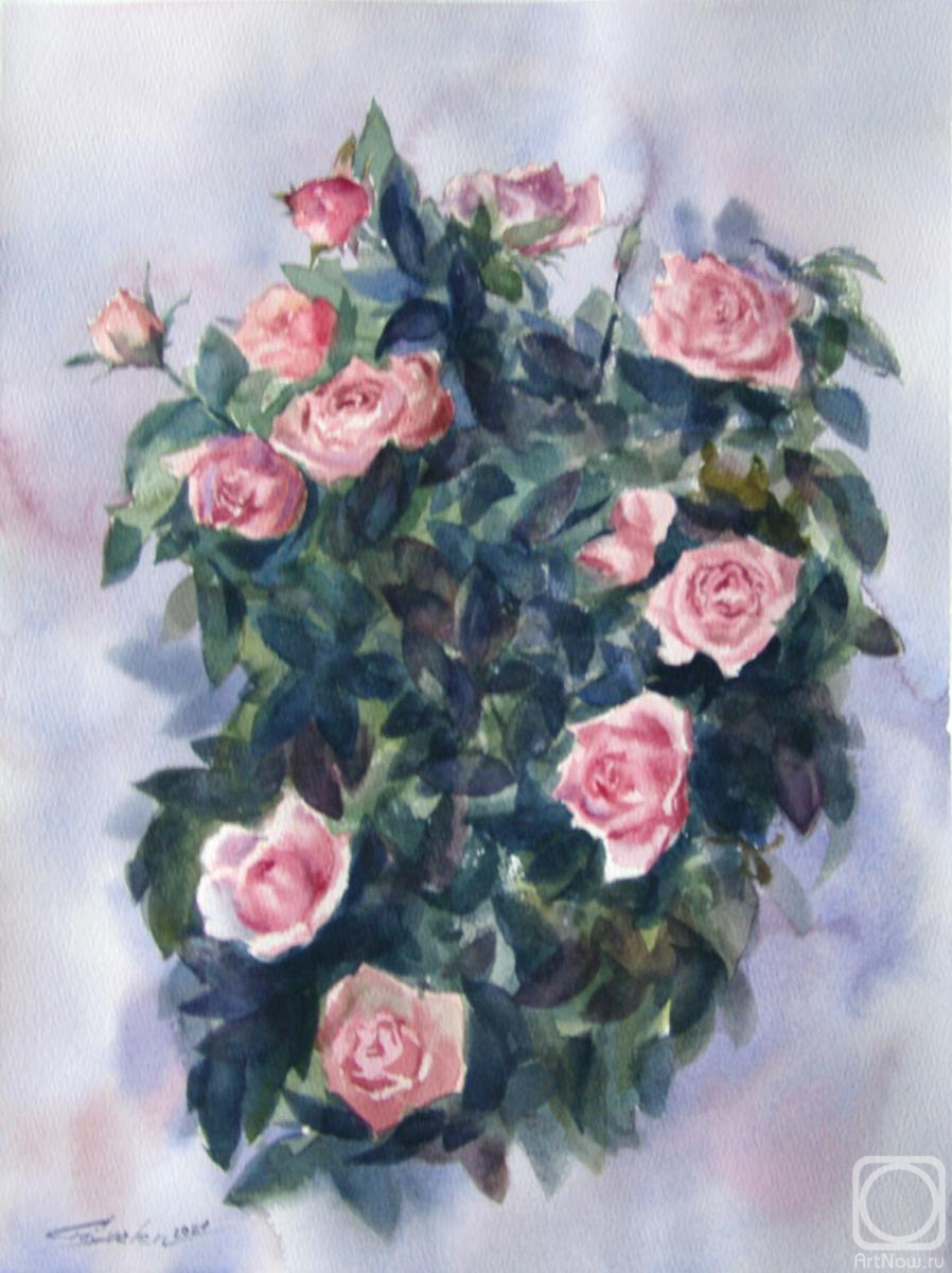 �������. ������������ �����. ������ ����