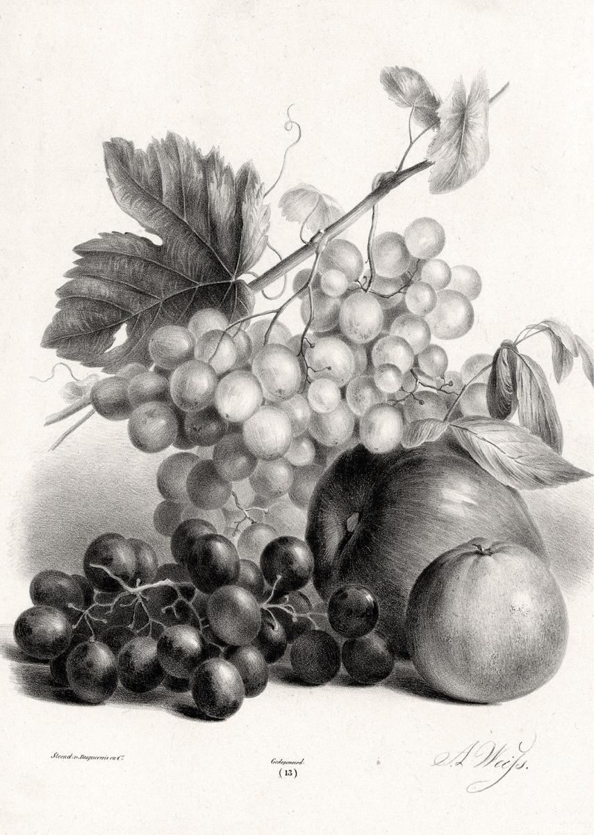 �������. ��������� ������. �������� � ������