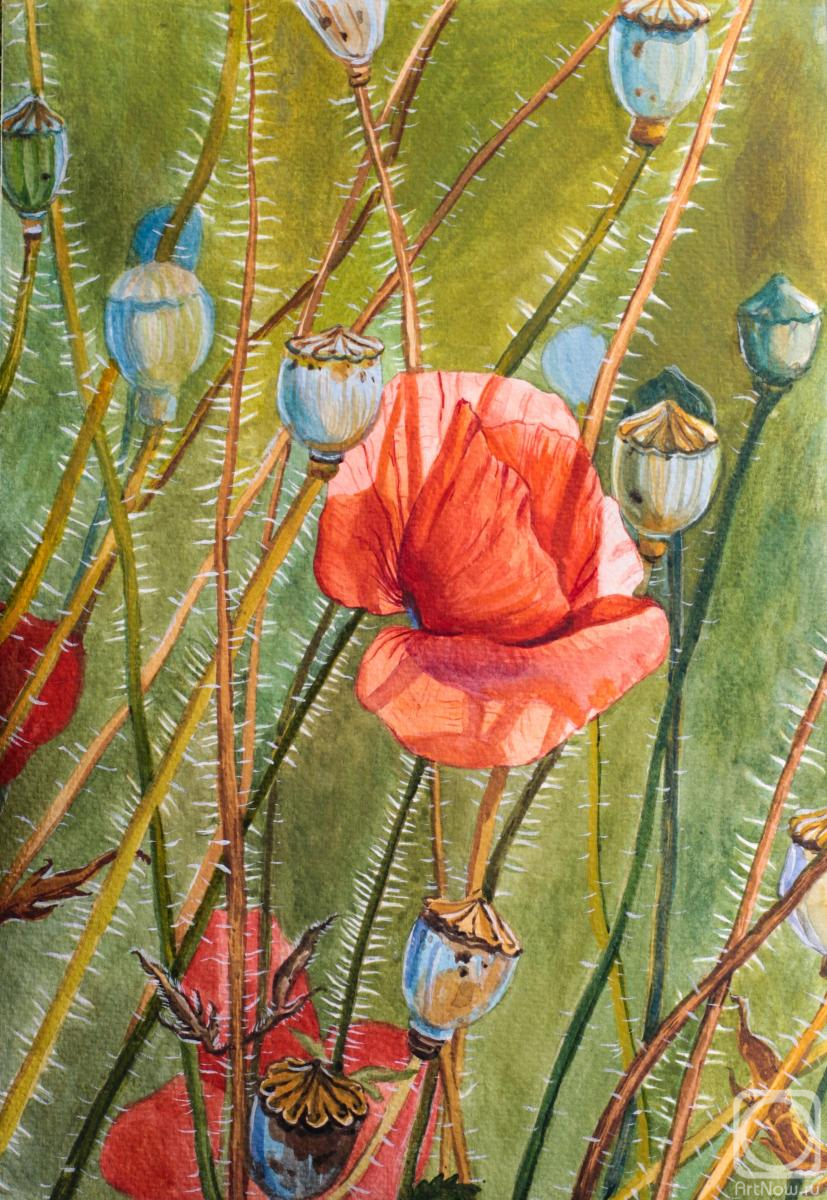 �������. ��������� �������. ����