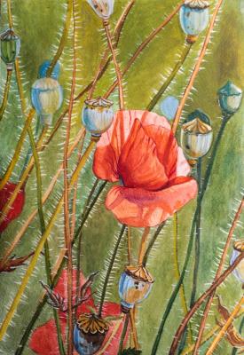 ����. ��������� �������