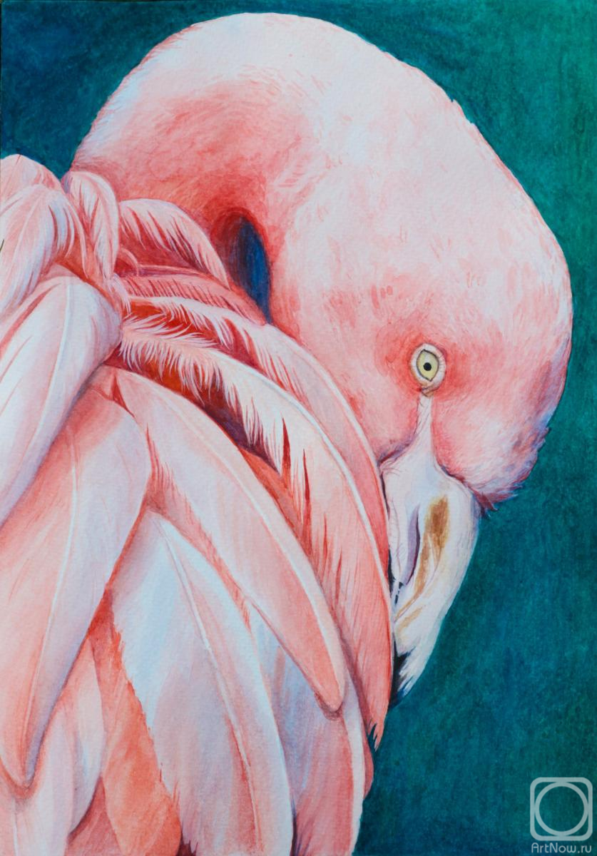 �������. ��������� �������. ��������