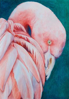 ��������. ��������� �������