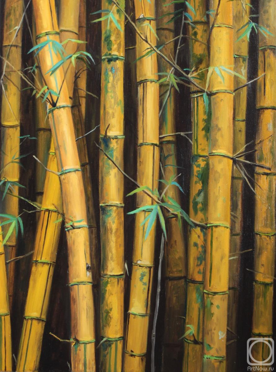 ������� ������ �� ������. ��������� �������. ������