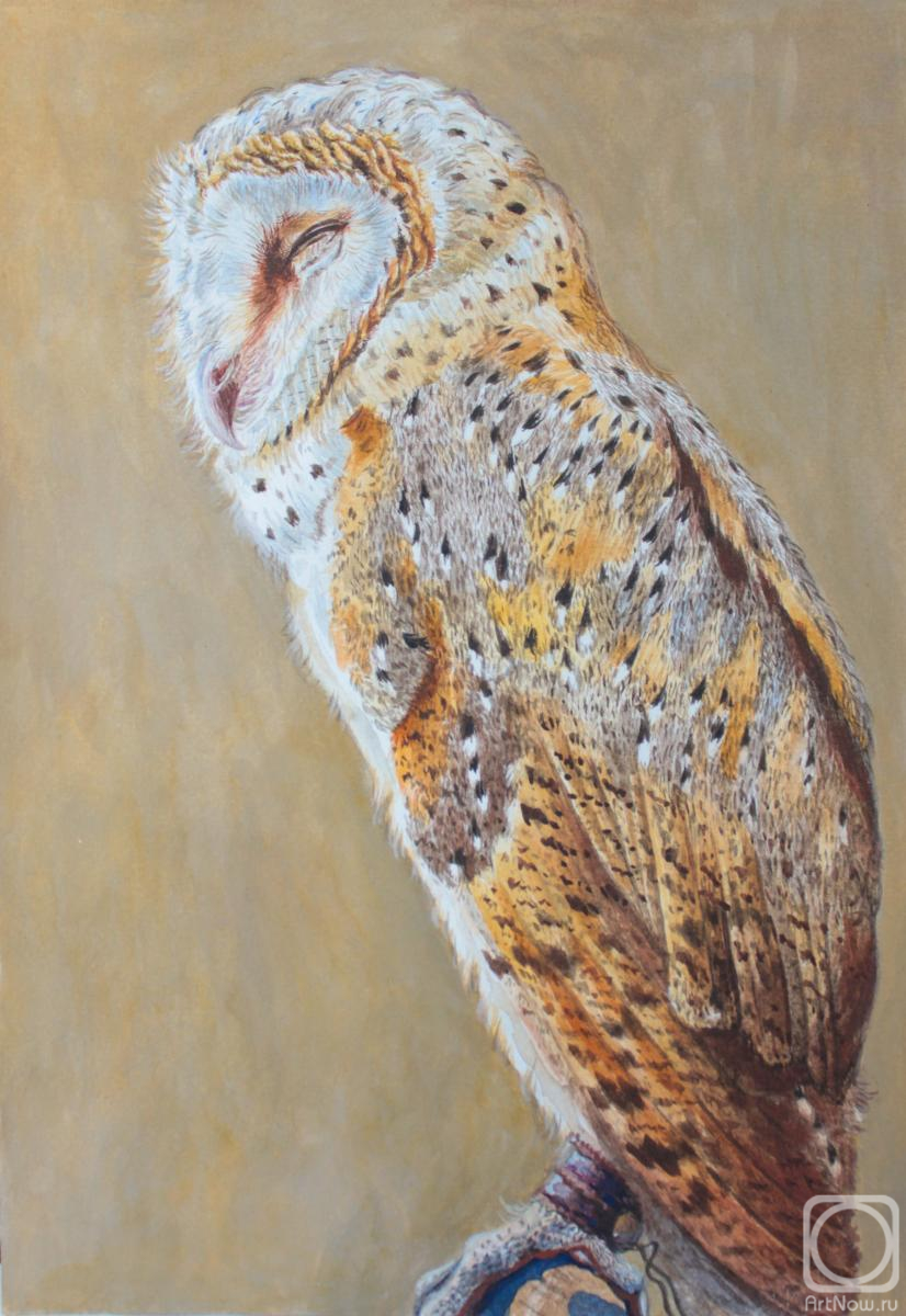 �������. ��������� �������. ����