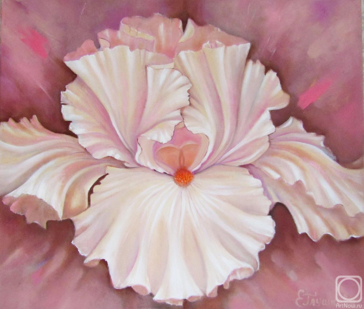 ������� ������ �� ������. ��������� �����. ���� �������