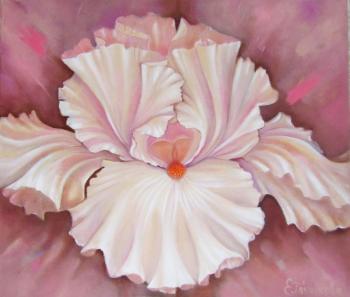 ���� �������. ��������� �����