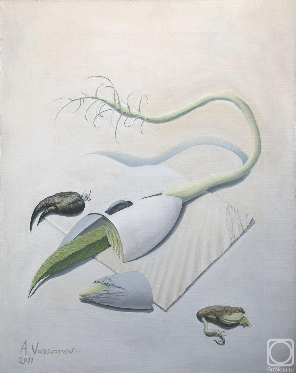 ������� ������ �� ������. �������� ���������. ��������� ����, ��������� ����� ����������