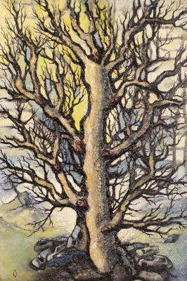 ��������� ������ 2016 (�����). �������� ���������