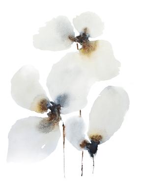 Untitled (European Style Art). Solovyanova Tatyana