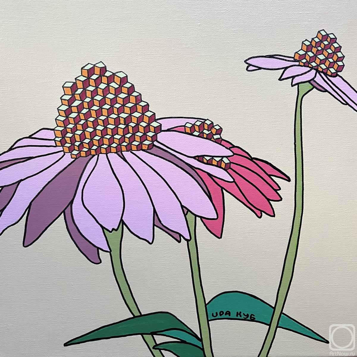 �������. ���������� �����. ������� �������