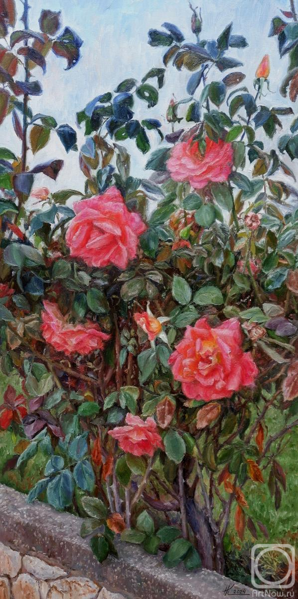 ������� ������ �� ������. ������ �������. ������� ����