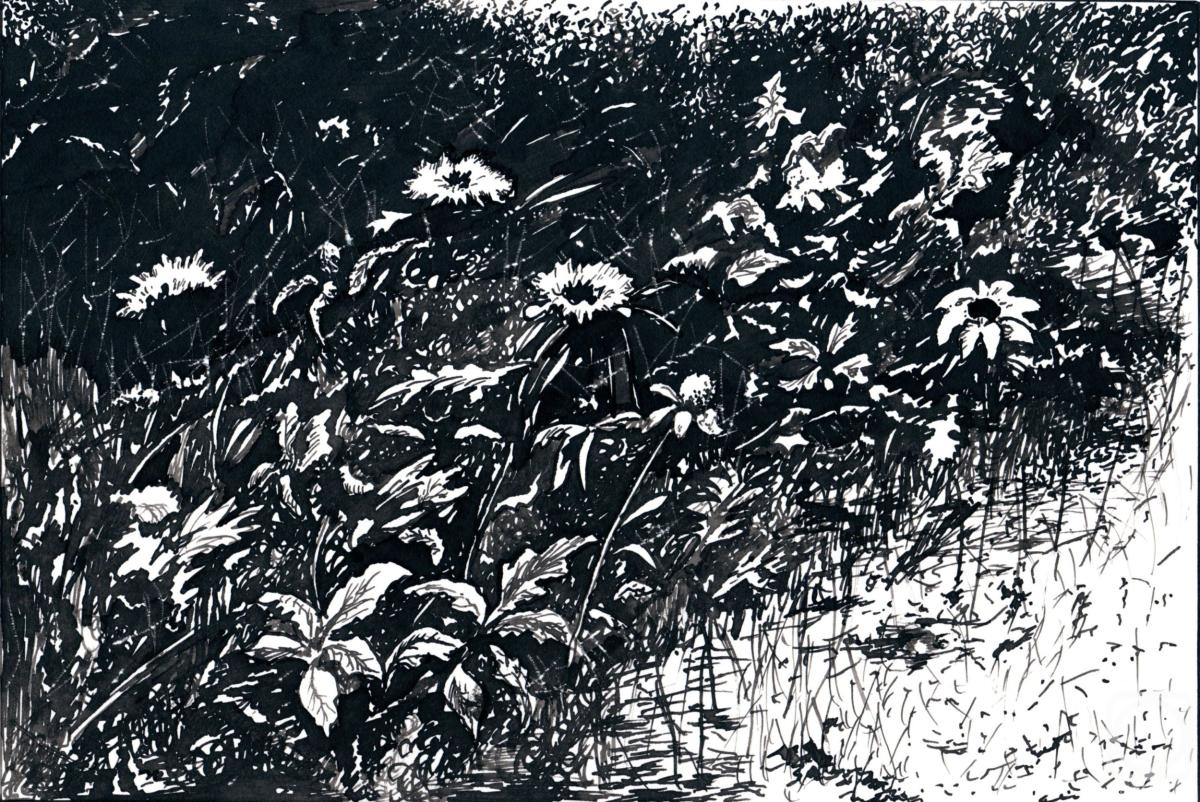 �������. ������� ��������. ������ ��������