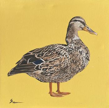 ���� �� ������ ����. ������� ��������