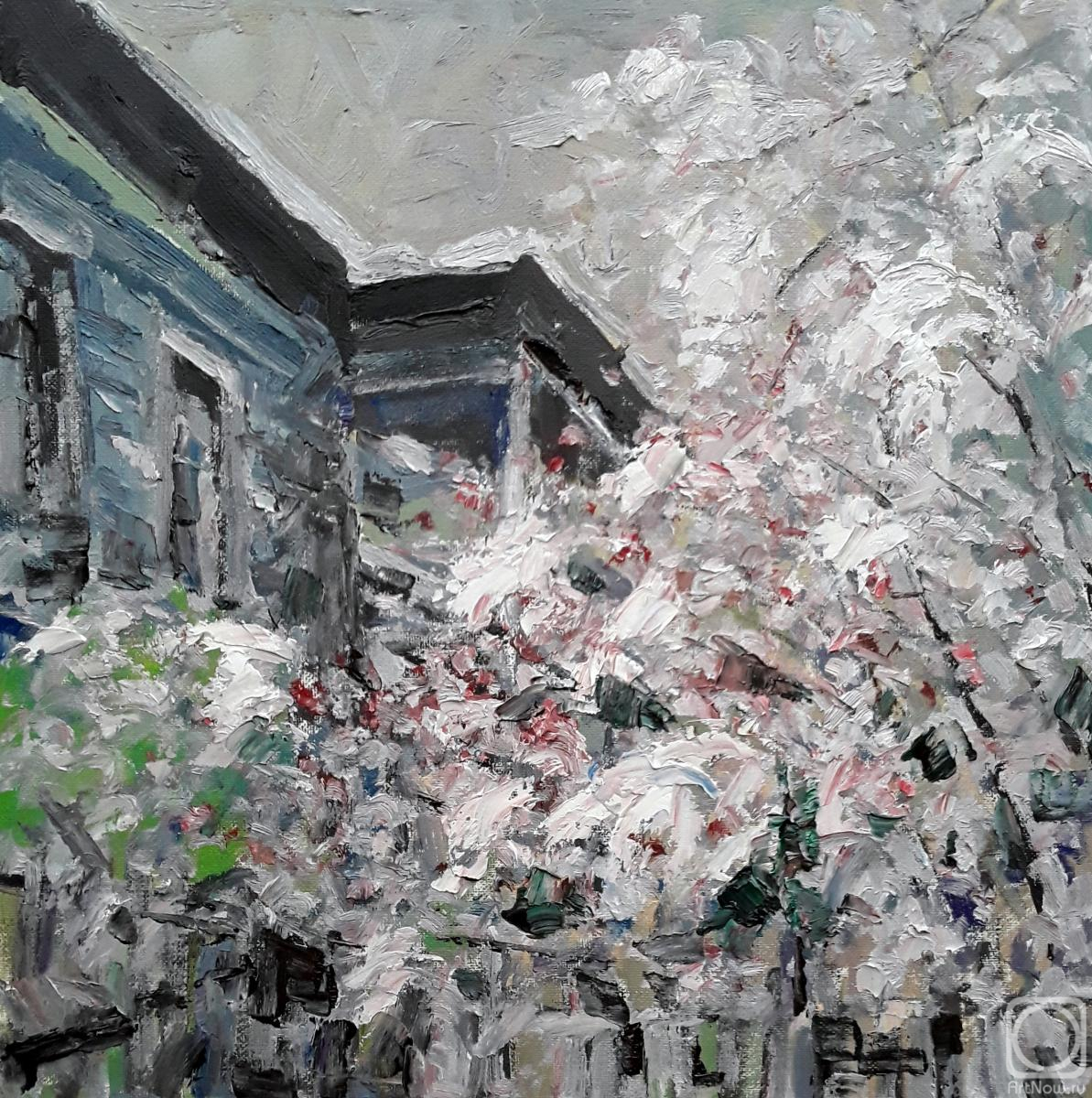 ������� ������ �� ������. ����� ���������. ������ ���� �������