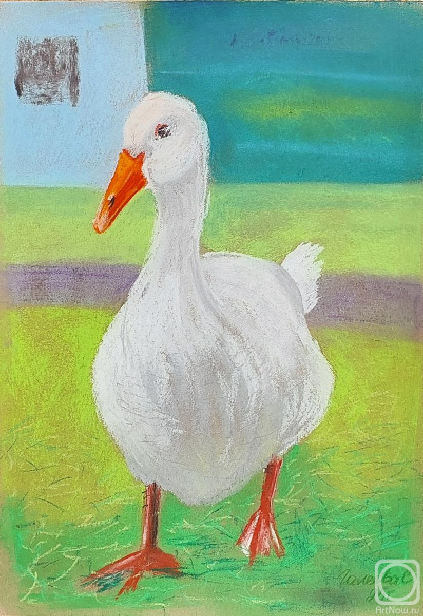 �������. ������� ��������. ����