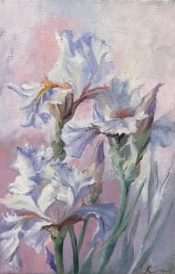 Untitled. Kazutina Olga