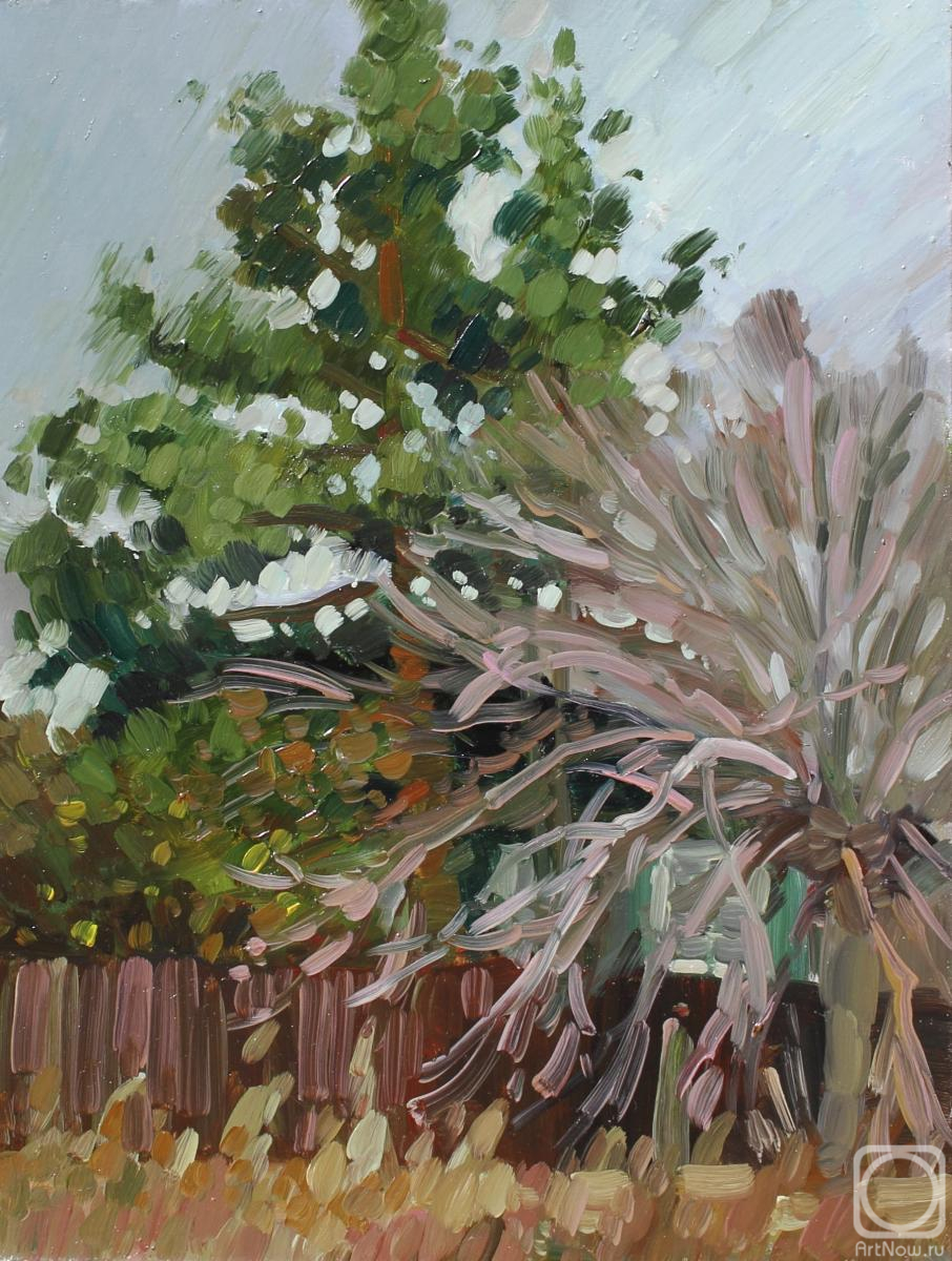 �������. Ը������-������ �������. ��������� ���