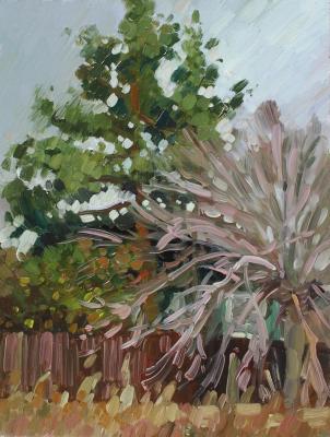 The neighbor's house. Fyodorova-Popova Tatyana