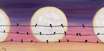 ������� ��� ����