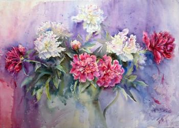 Untitled. Gorda Alina