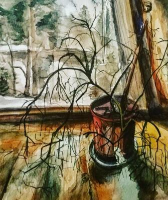 ������� �� ����