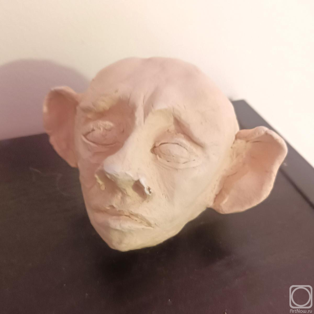 ���������� �������. �������