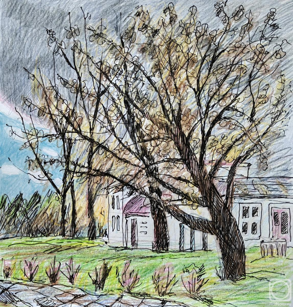 Karaceva Galina. Untitled