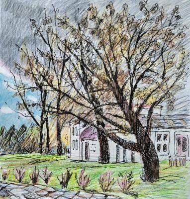 12 �������. �������� ������