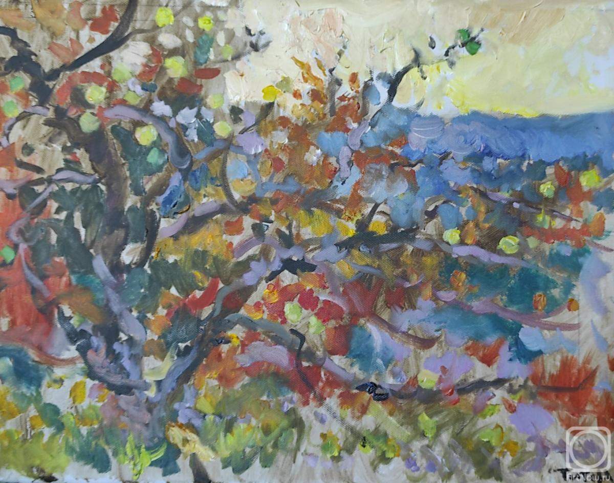 ������� ������ �� ������. ����� ���������. ������� ������