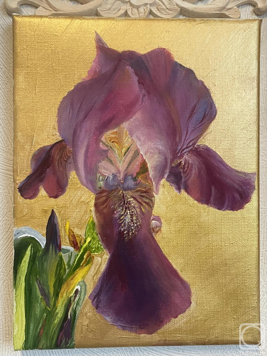 ������� ������ �� ������. ���������� �������. ���� �� ������� ����