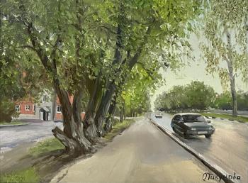 Ozyory city, near Liternye