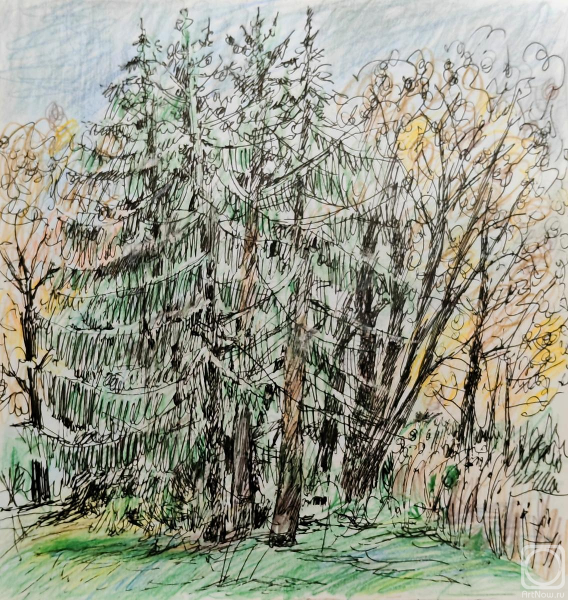 Karaceva Galina. Untitled