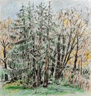 12 �������. �������� ������