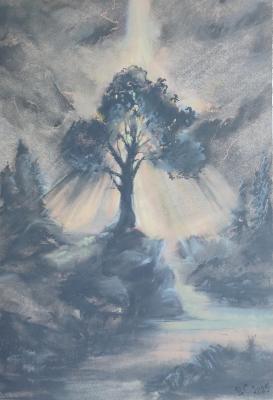 ���� ��� �������