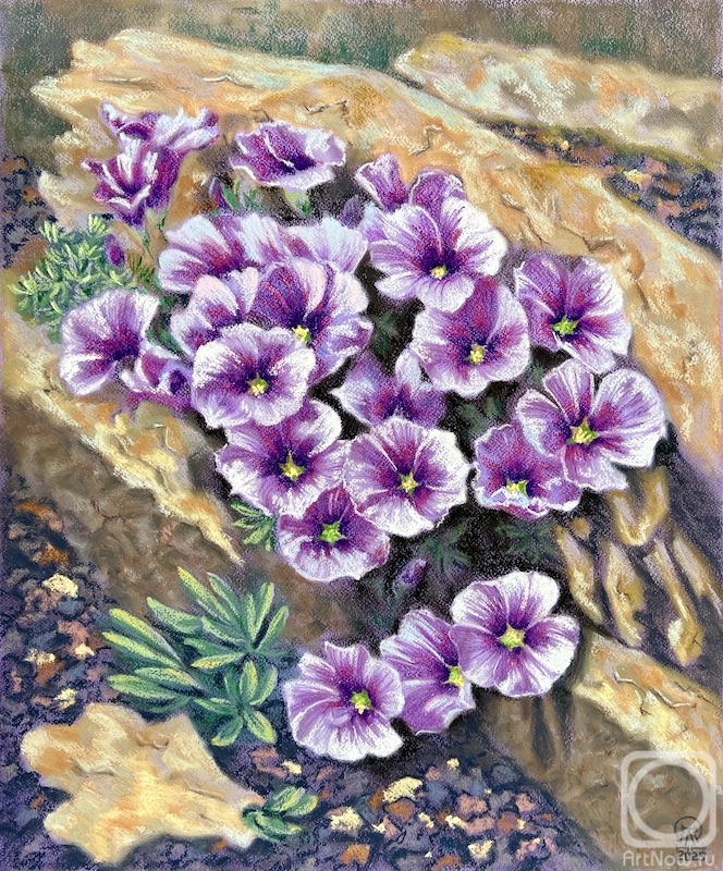 �������. �������� ������. ����� �����