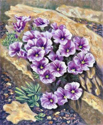 ������� ������ �����