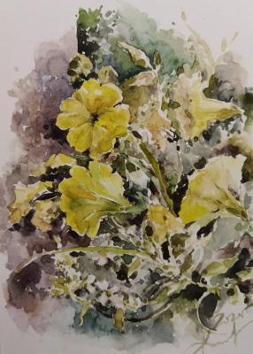 The yellow petunia. Etude 2. Podzhigaylo Katerina