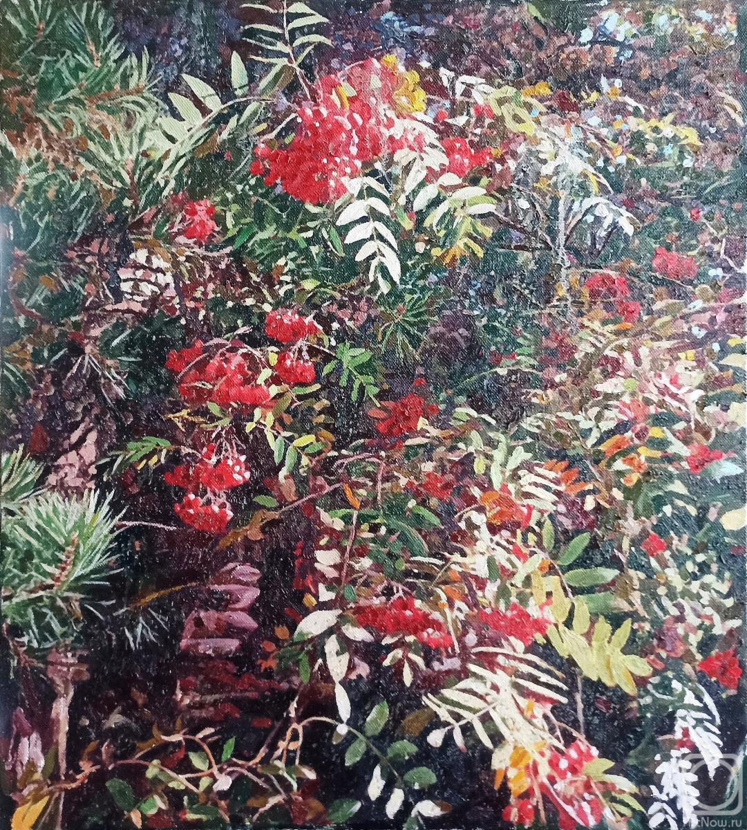 ������� ������ �� ������. ������ ������. ������ �23