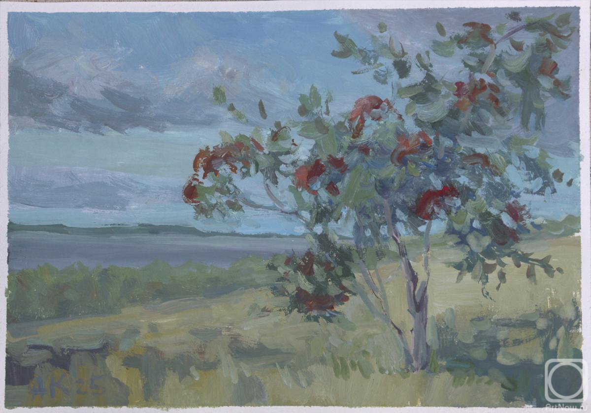 �������. ������� ���������. ������ � �������� �����