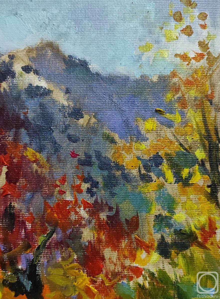 ������� ������ �� ������. ����� ���������. ��������� ����