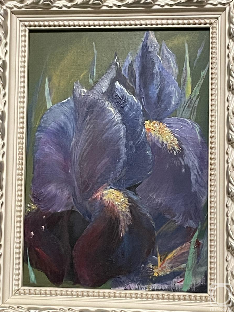 ������� ������ �� ������. ���������� �������. ����� ����� �����