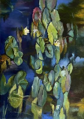 Untitled. Kazutina Olga