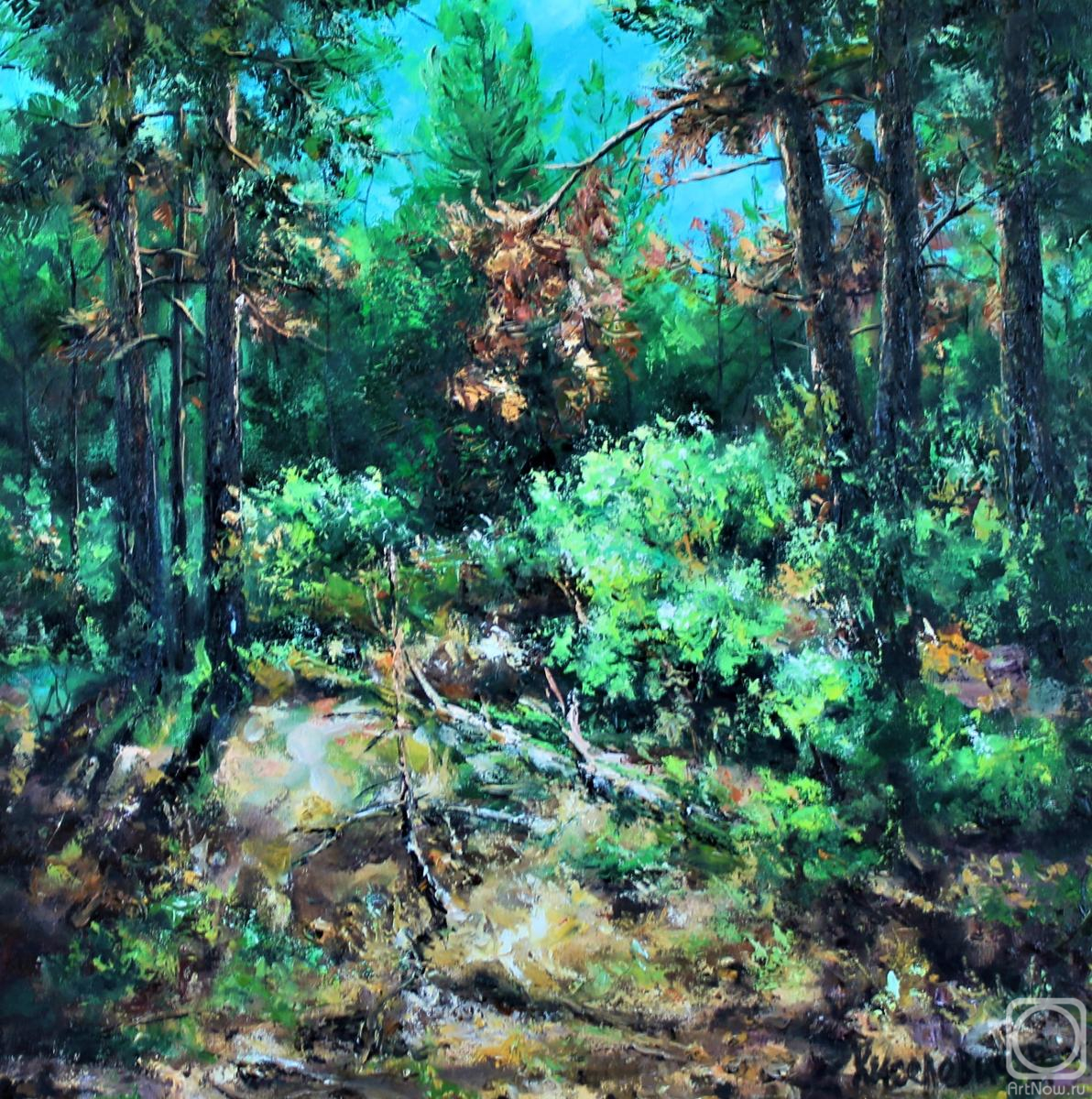 ������� ������ �� ������. ��������� ��������. ������ ��������